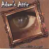 Adam's Attic - ...in the blink of an eye